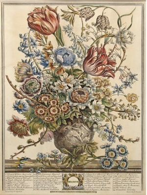 March from Furber's Twelve Months of Flowers, 1730