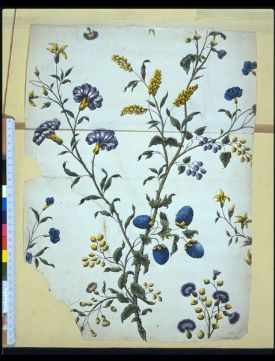 Design for a printed textile or wallpaper; Flowers and foliage with yellow and blue berries, on a pale ground; Watercolour and pencil on paper. Within an album (E.4486-4542-1920) containing drawings of flowers, foliage, details of ornament, proofs etc, used by the artist as working material for his wallpaper designs: Pen and ink, pencil and watercolour: 52 sheets, together with an engraved title-page by Jackson, an engraving by Bonneau, and 3 anonymous engravings of plant forms; several signed J:B:J., inscribed with notes and dated from 1740 to 1753; the title-page dated 1738. V&A